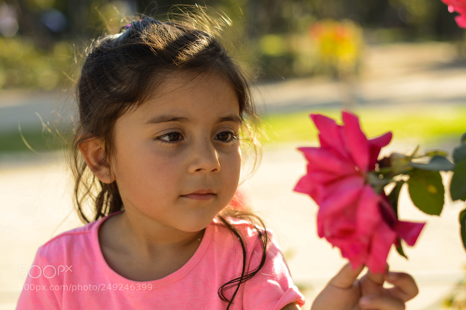 Nikon D5200 sample photo. Untitled photography