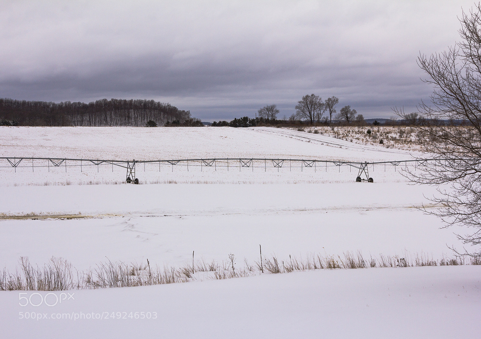 Canon EOS 60D sample photo. March... photography