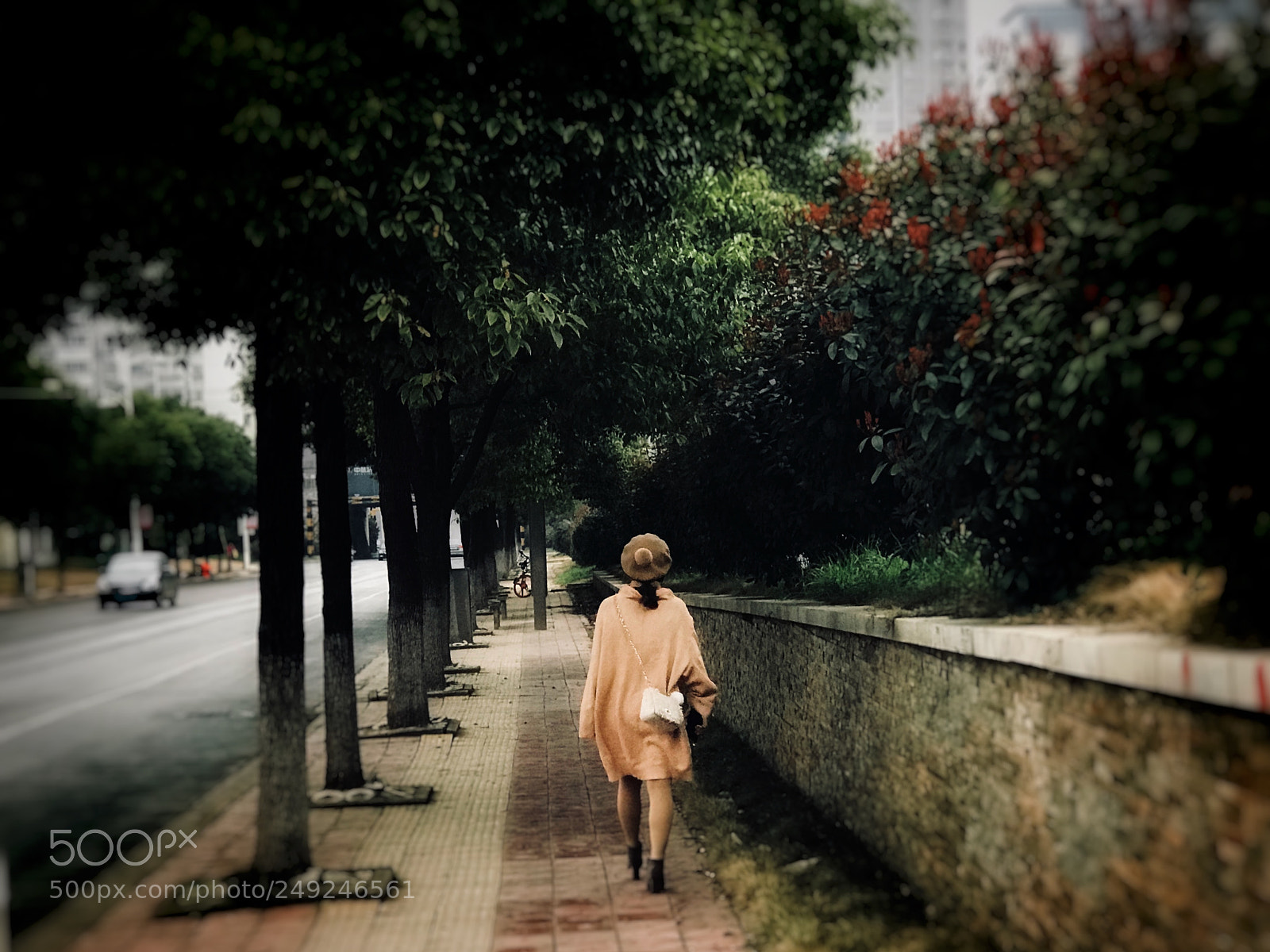 Apple iPhone 7 Plus sample photo. Untitled photography
