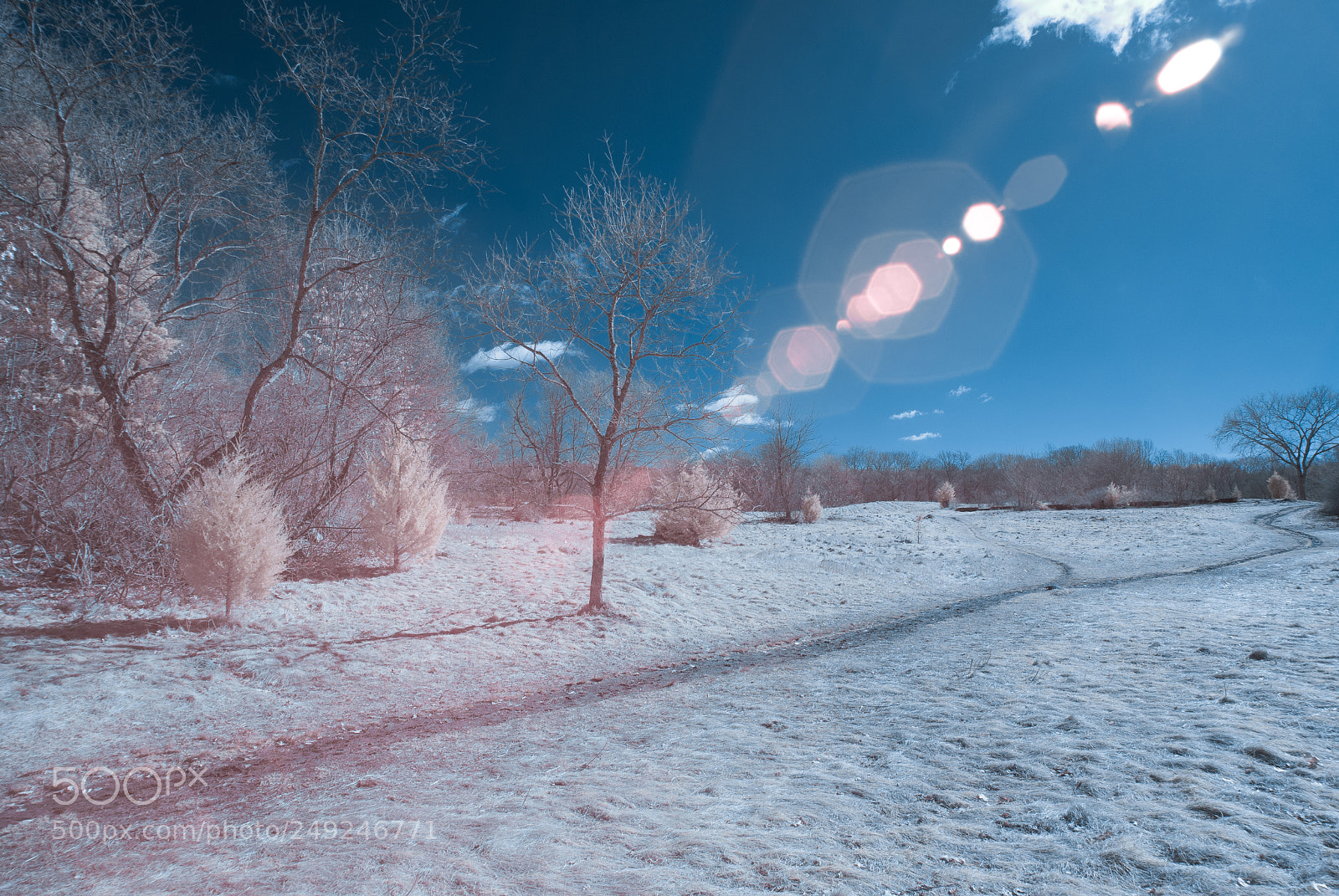 Nikon D40X sample photo. Ir winter landscape photography