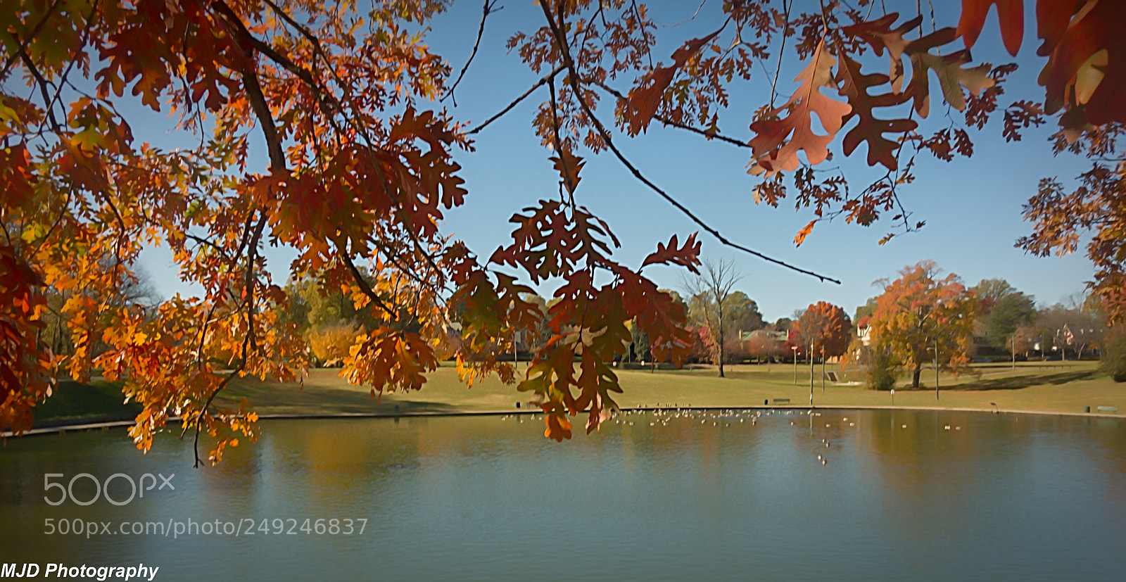 Sony Cyber-shot DSC-RX100 sample photo. Touch of fall photography