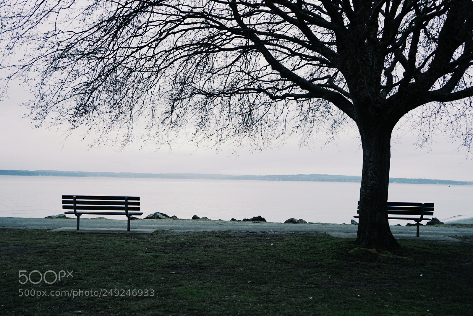 Sony a7 II sample photo. Untitled photography