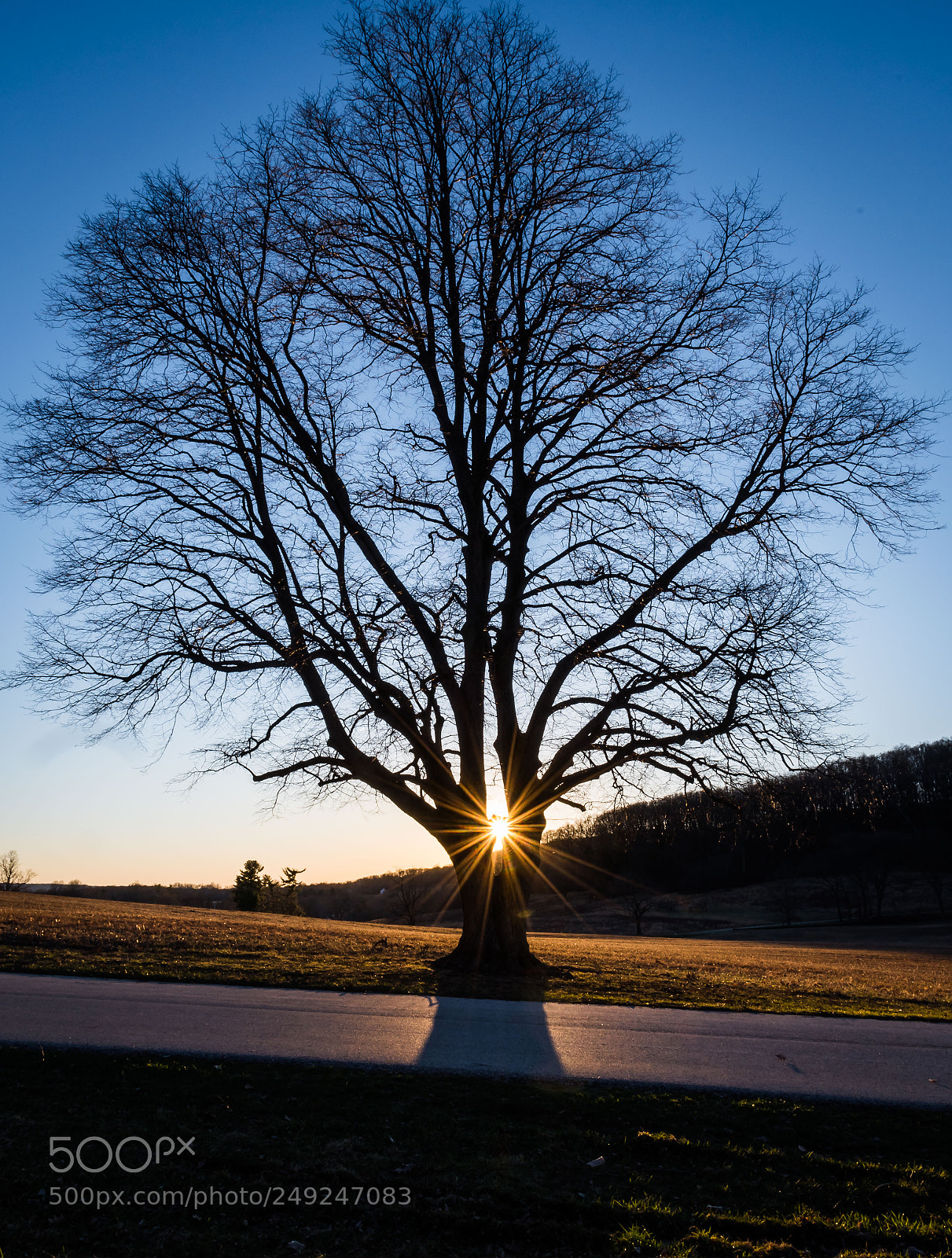 Nikon D500 sample photo. Chasing sunsets photography