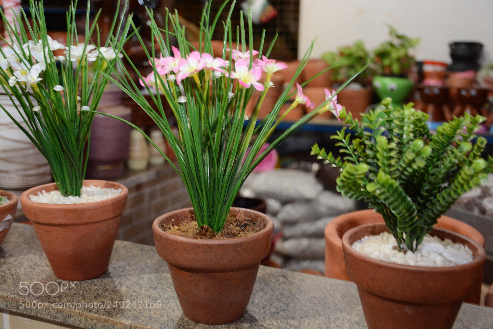 Nikon D7100 sample photo. Dsc photography