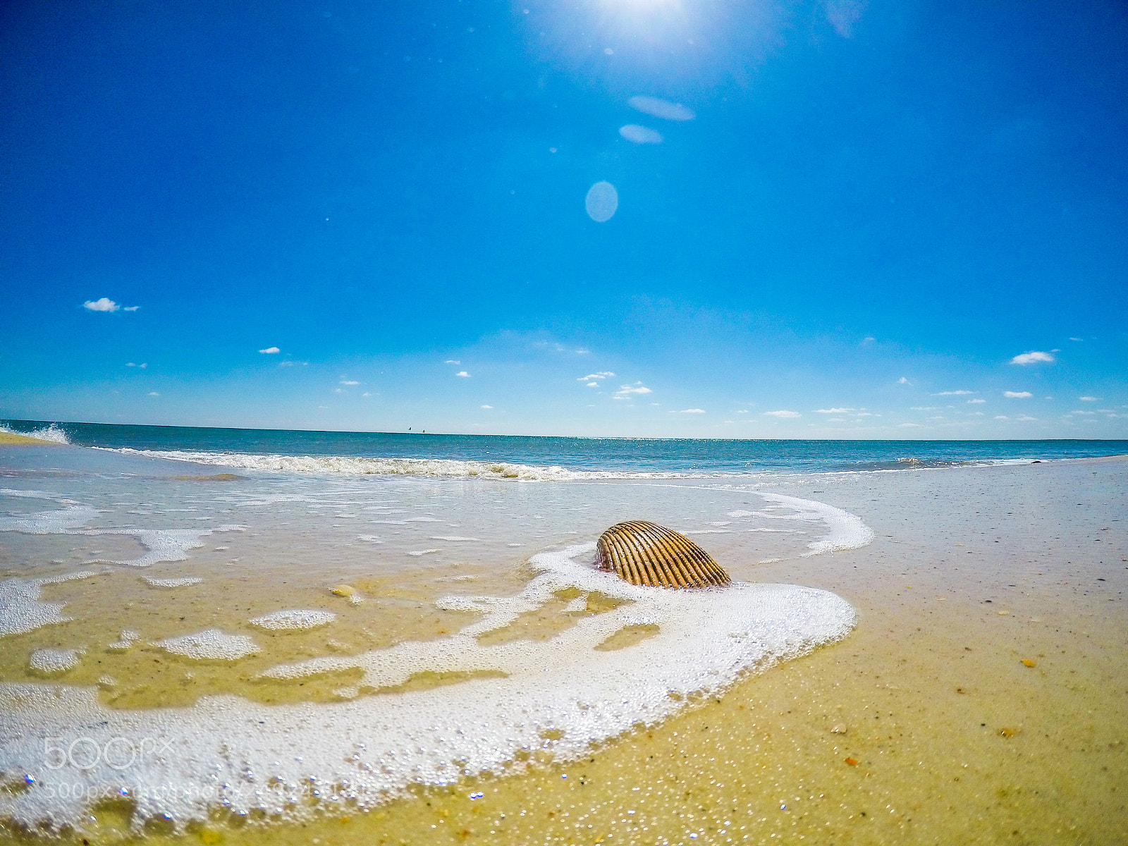 GoPro Hero5 Black sample photo. Shell vs. wave photography