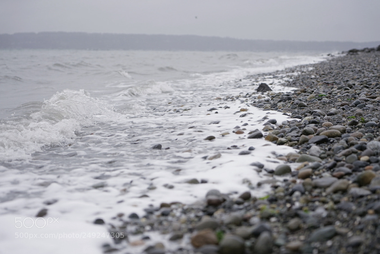 Sony a7 II sample photo. Untitled photography
