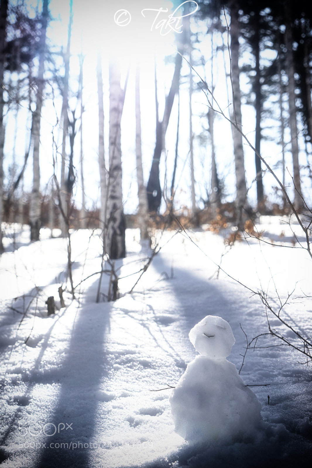 Sony a7 sample photo. Snowman in the birch photography