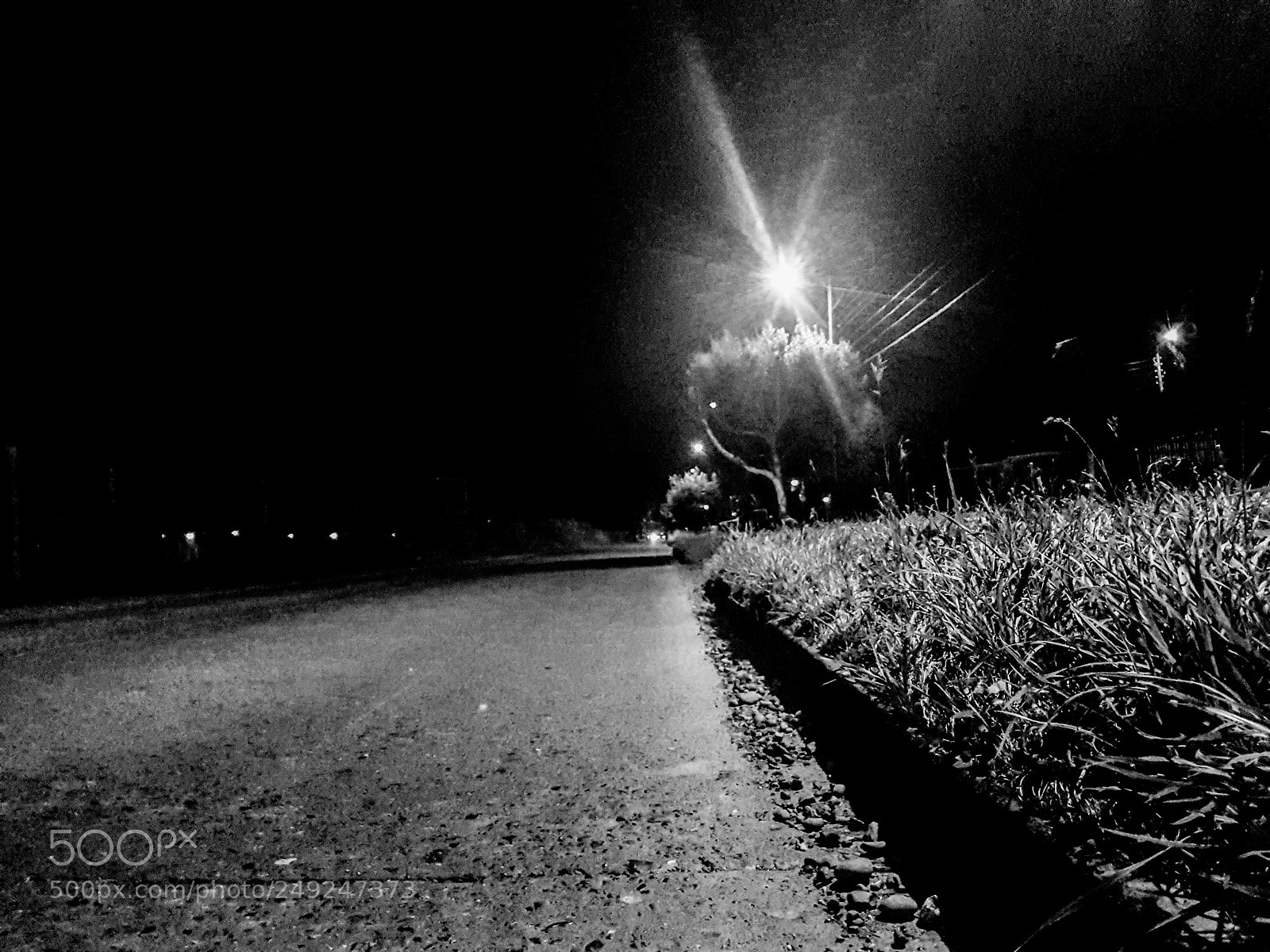 Samsung Galaxy S7 sample photo. Untitled photography