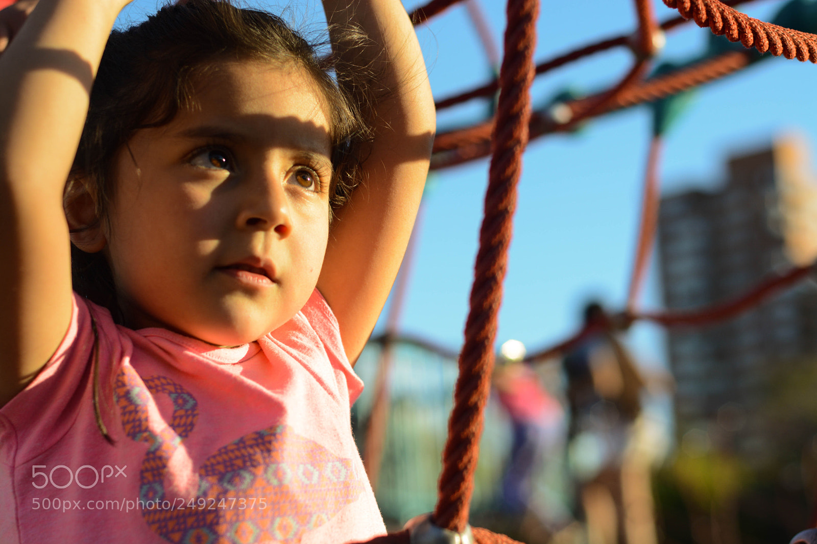 Nikon D5200 sample photo. Untitled photography