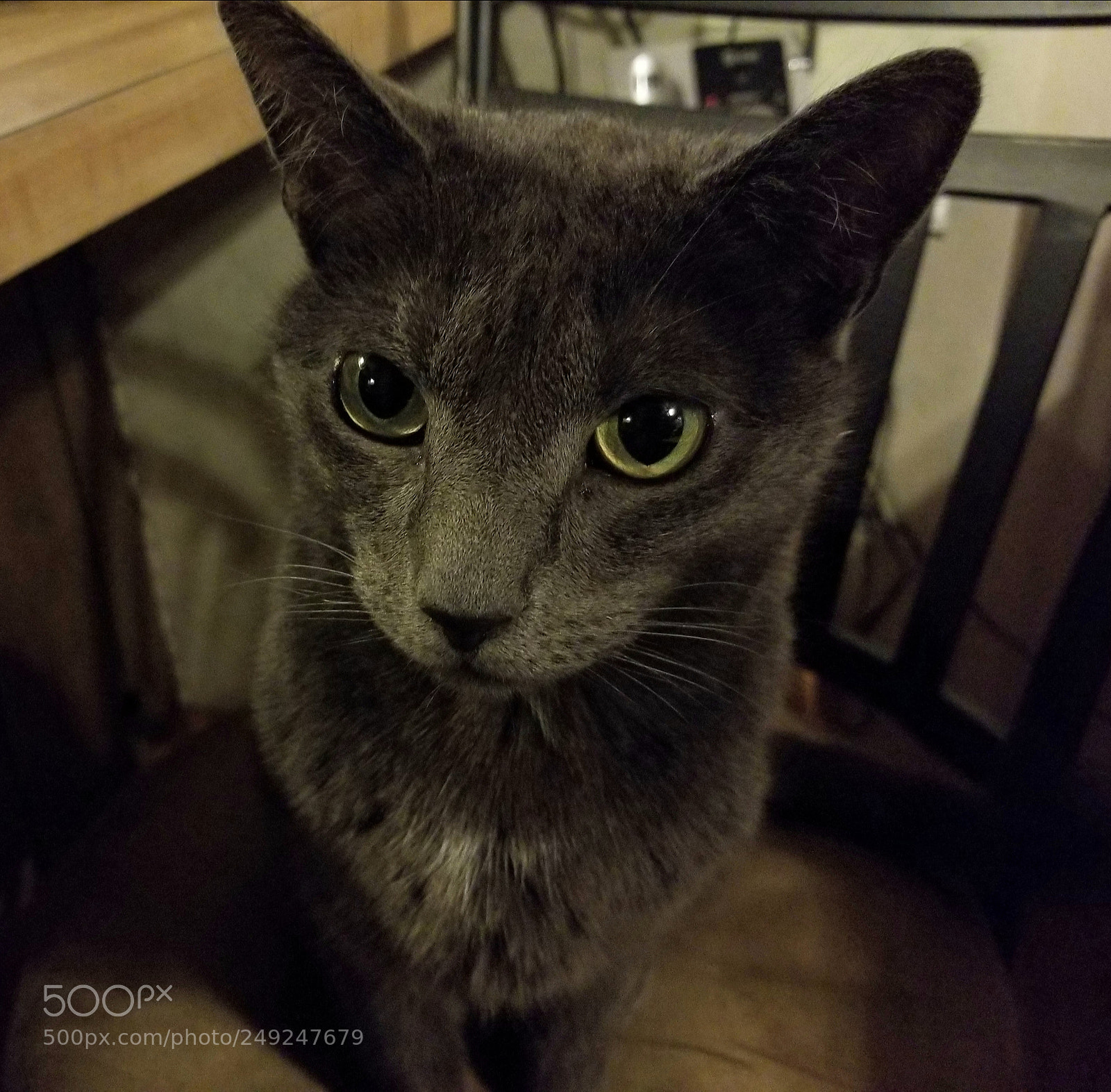 Samsung Galaxy S8 sample photo. Psycho sid photography