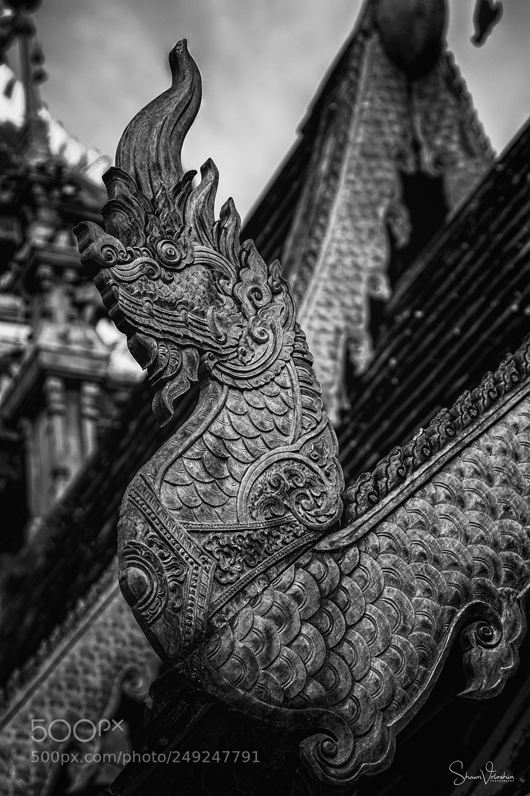 Nikon D750 sample photo. Dragon in grey photography