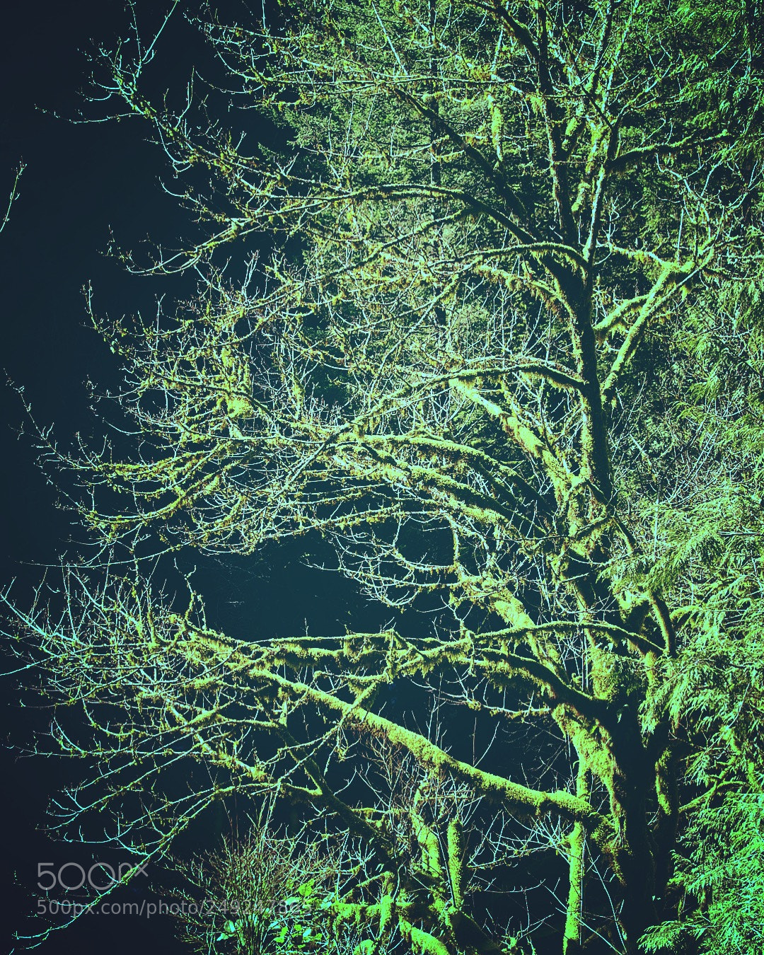 Sony a6000 sample photo. Untitled photography