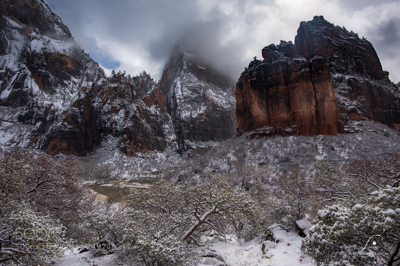 Nikon D810 sample photo. South bend, zion np photography