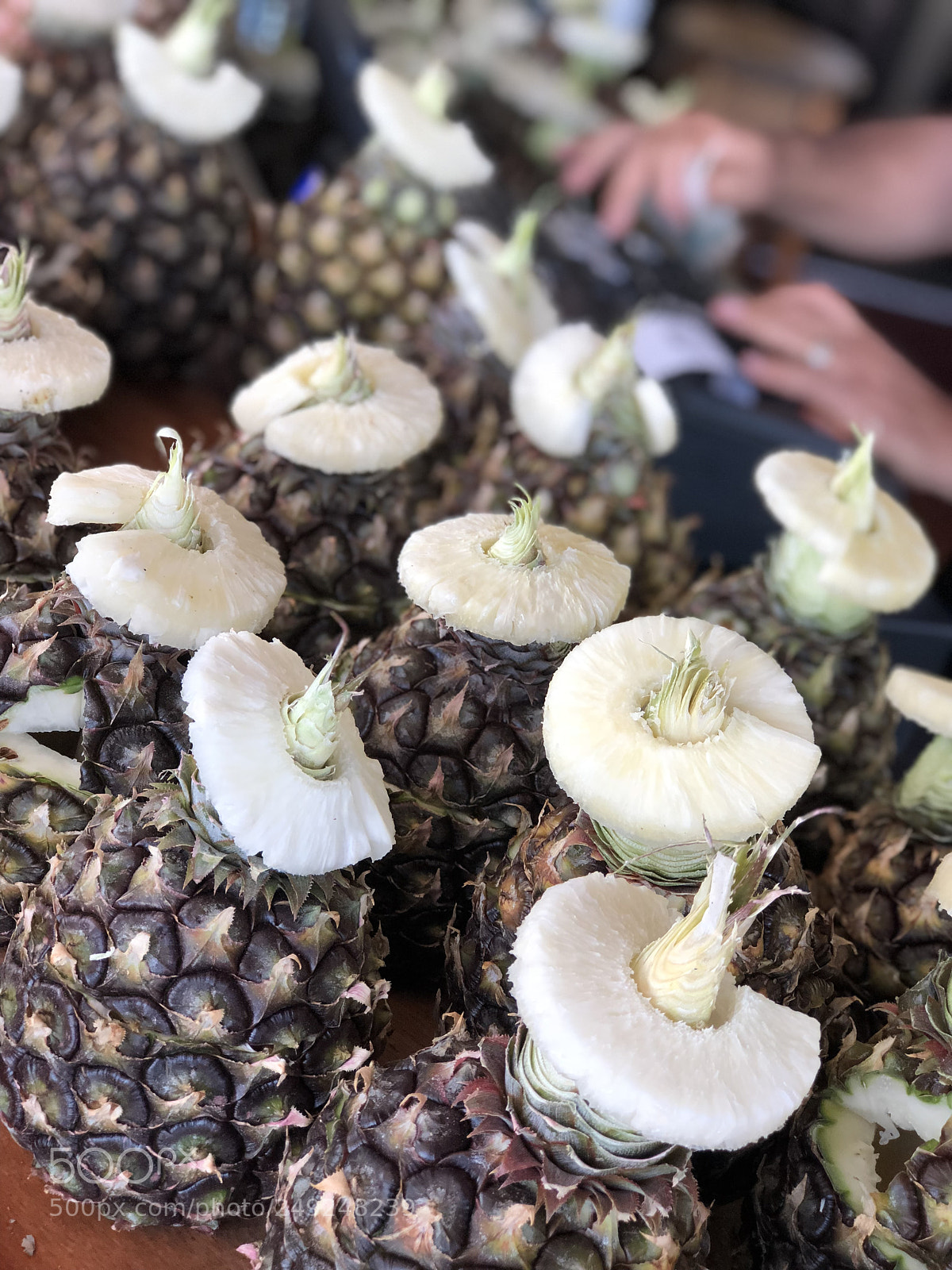 Apple iPhone 8 Plus sample photo. Untitled photography