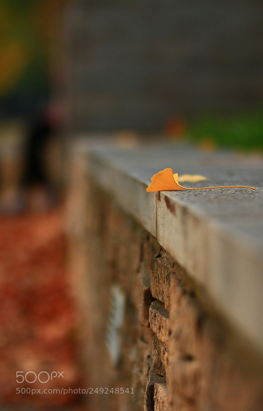 Canon EOS 60D sample photo. Untitled photography