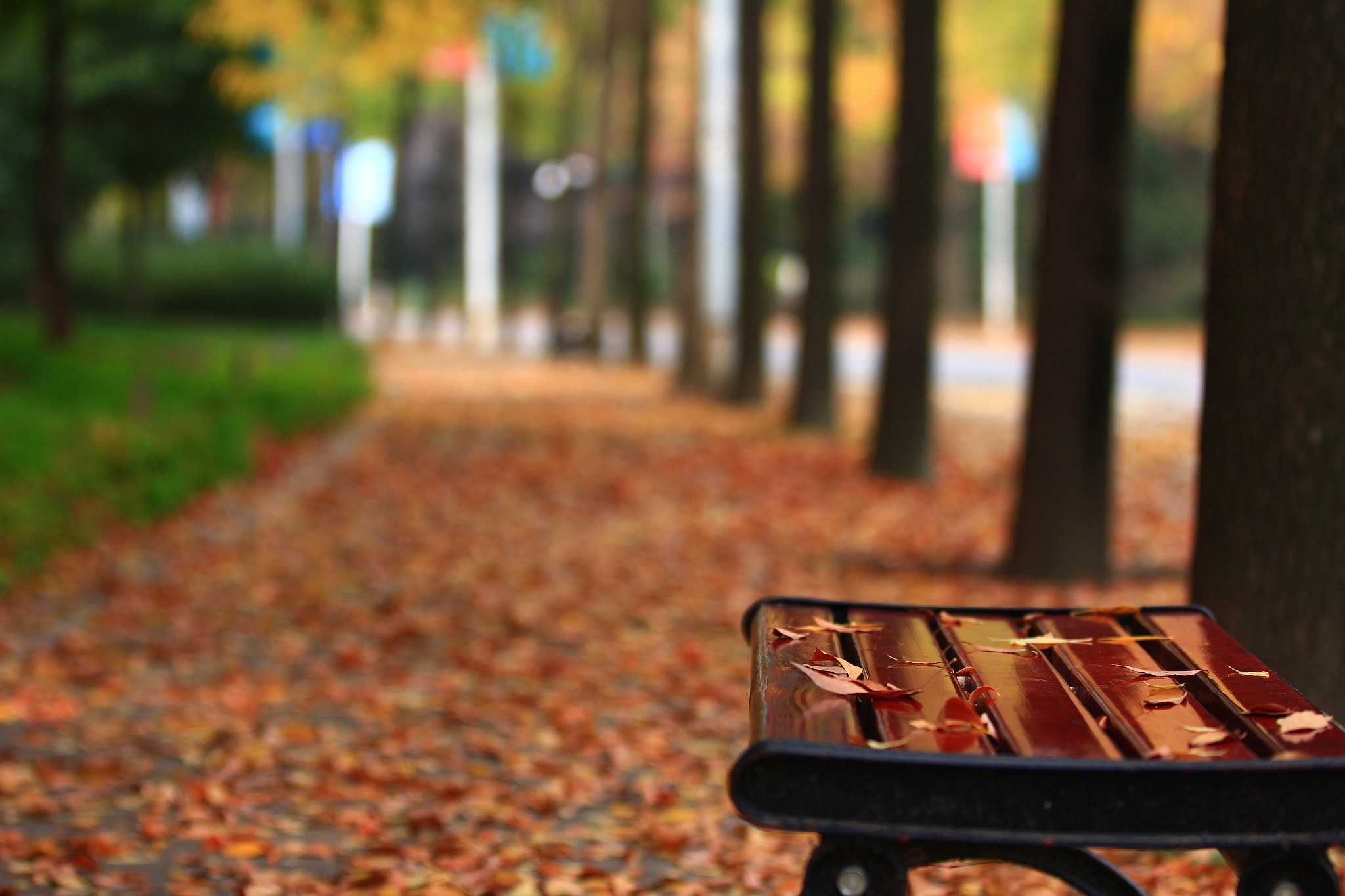Canon EF 70-200mm F2.8L IS II USM sample photo