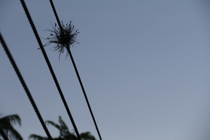 Canon EOS 700D (EOS Rebel T5i / EOS Kiss X7i) sample photo. Mg photography