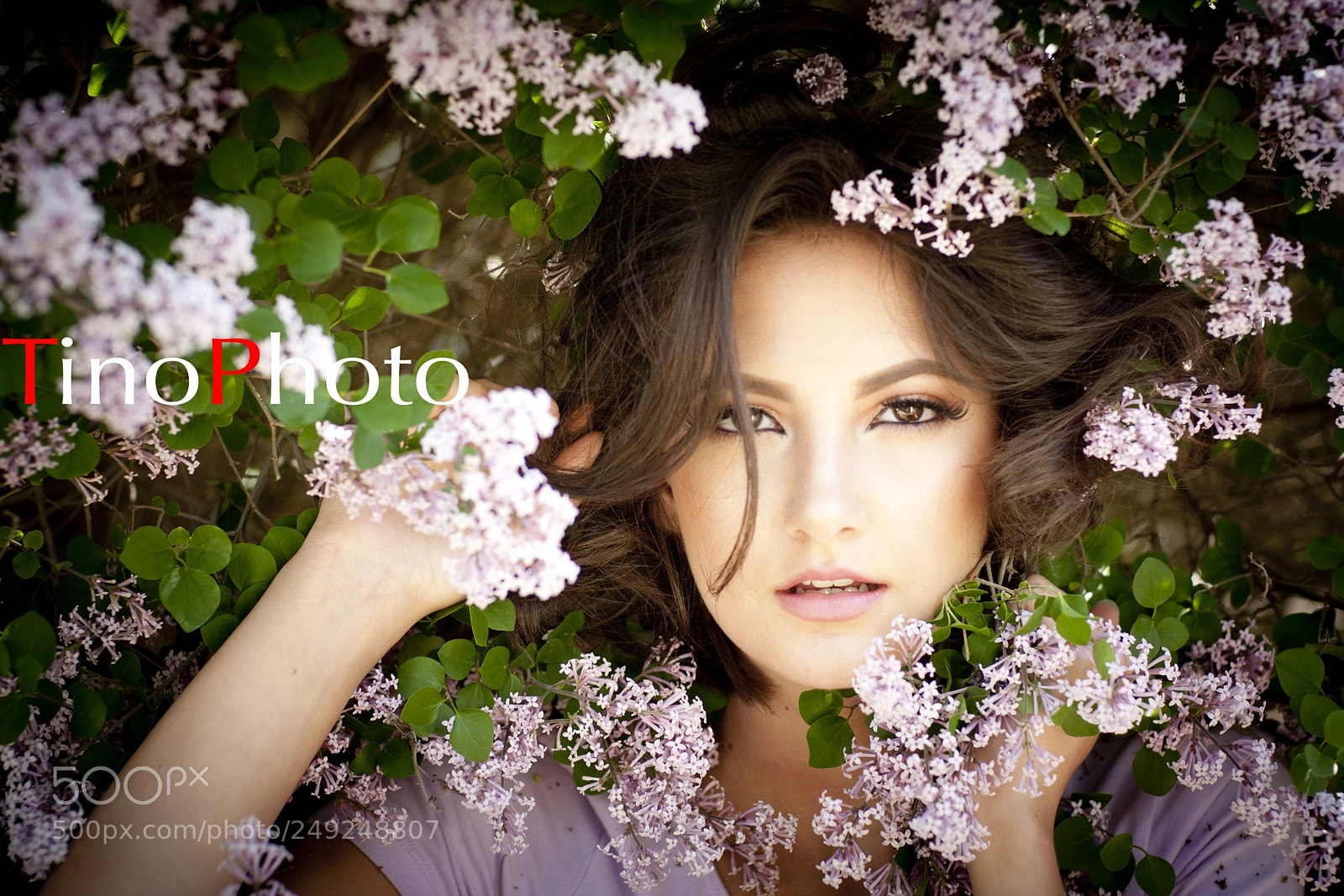 Canon EOS-1D Mark III sample photo. Imgl9886-1.jpg photography