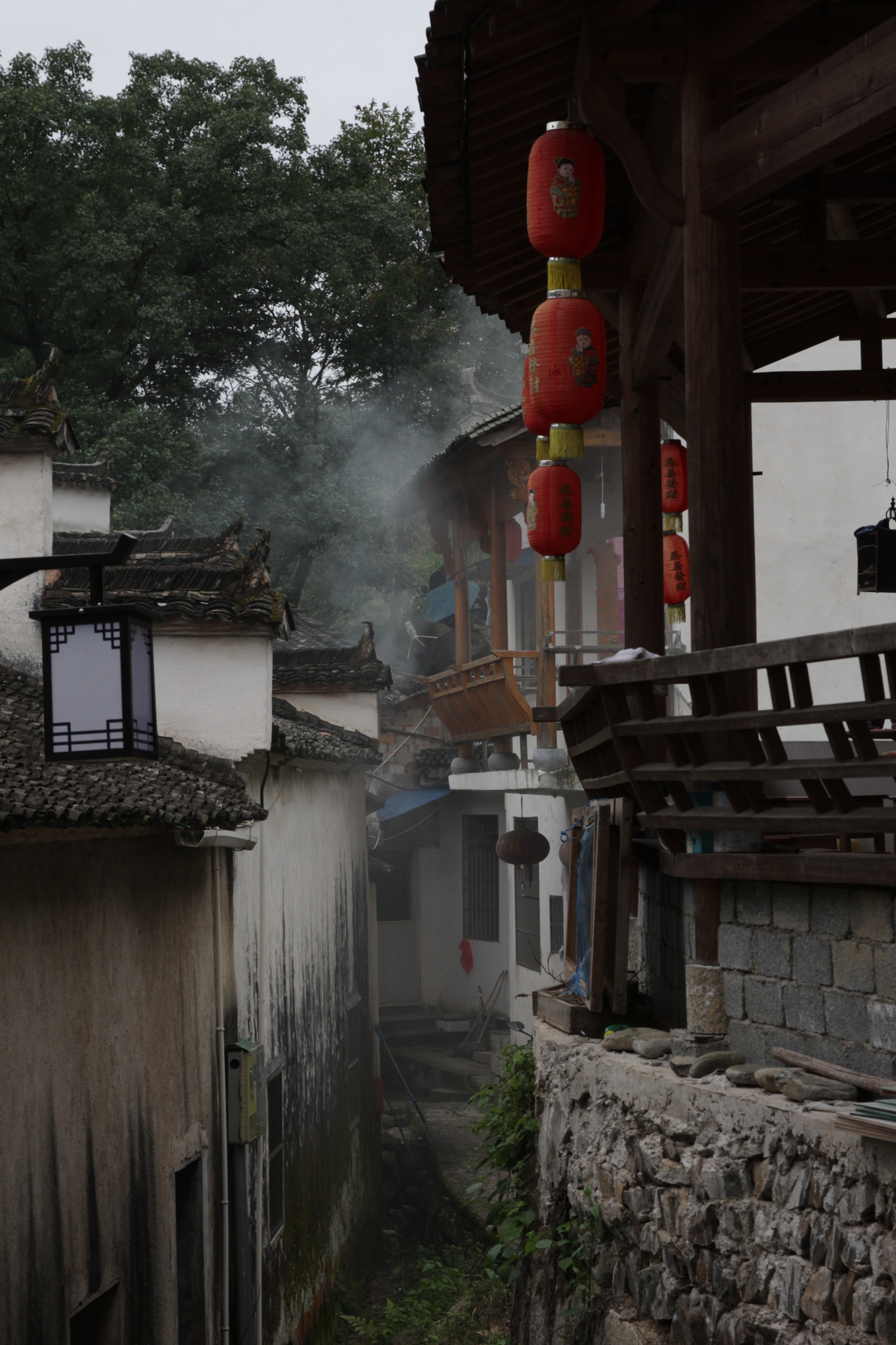 Canon EF 24-70mm F2.8L II USM sample photo