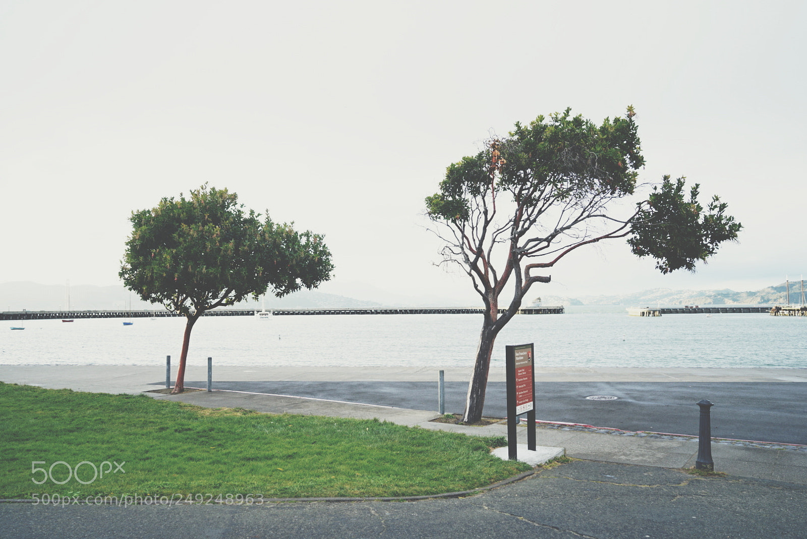 Sony a7 II sample photo. Untitled photography
