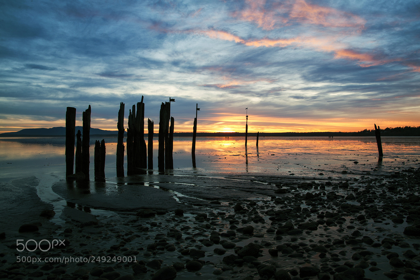 Canon EOS 5D sample photo. Locust beach photography