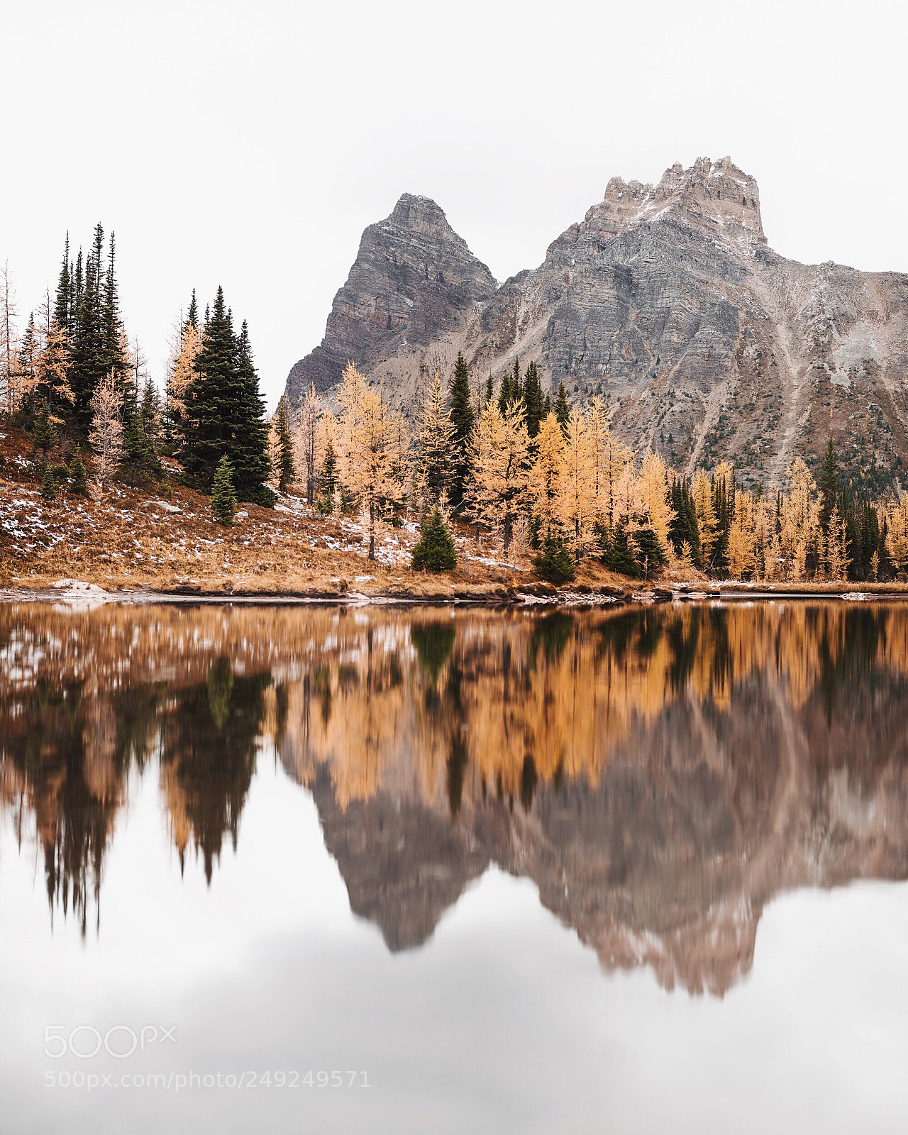 Nikon D810 sample photo. Autumn colors on the photography