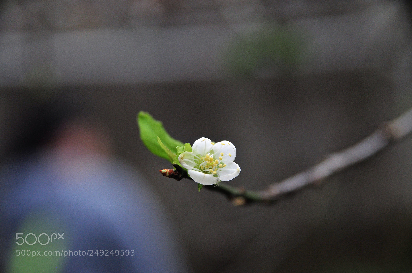 Nikon D300 sample photo. Untitled photography
