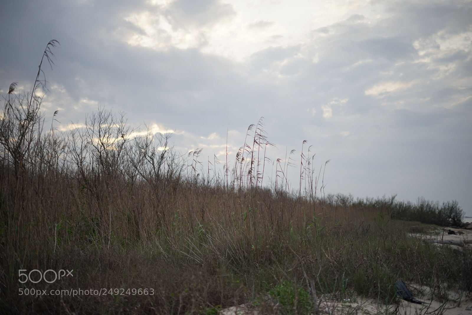 Sony a7 sample photo. Horizon photography
