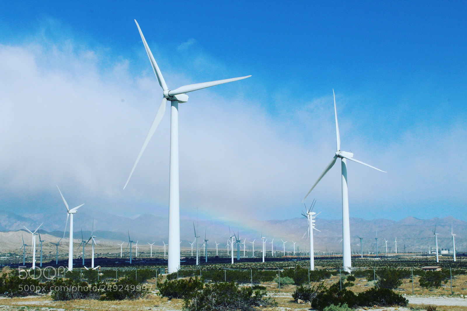 Canon EOS 1300D (EOS Rebel T6 / EOS Kiss X80) sample photo. Palm springs, california photography