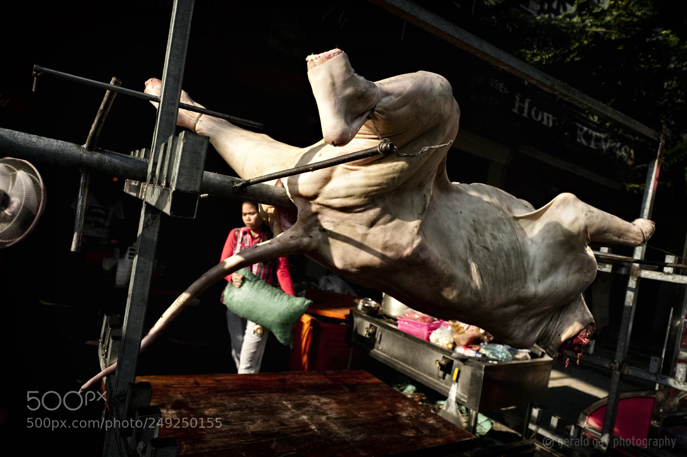 Fujifilm X-T2 sample photo. Beastly photography