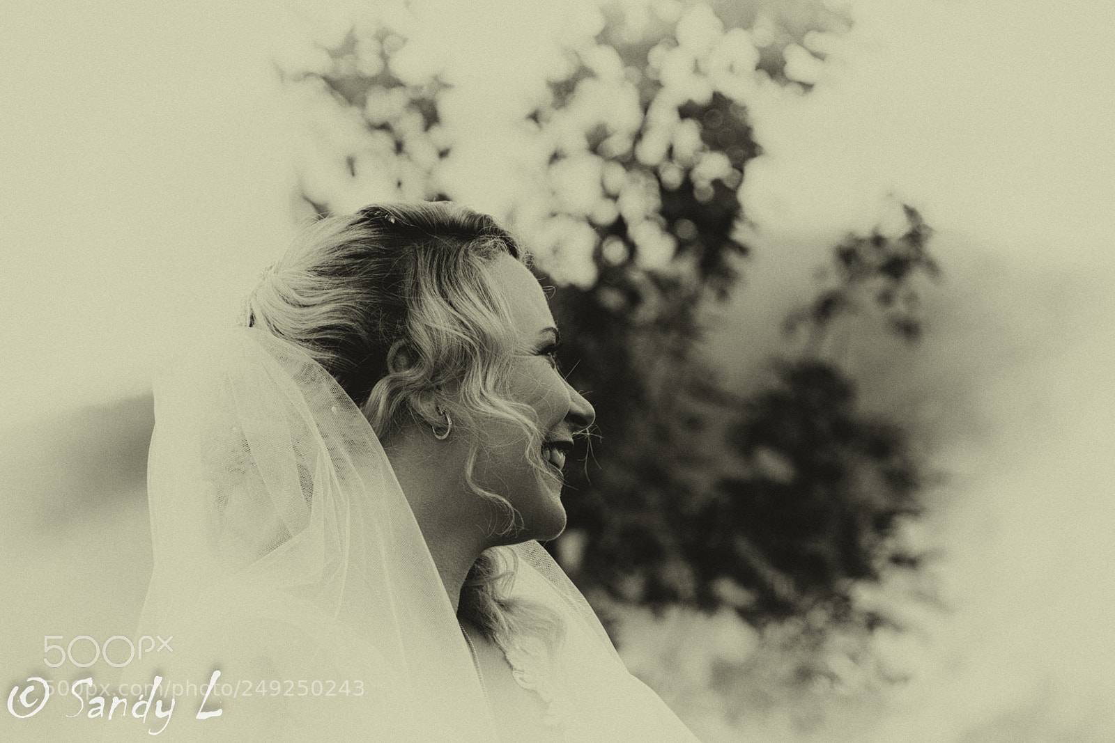 Canon EOS 600D (Rebel EOS T3i / EOS Kiss X5) sample photo. Vintage bride photography