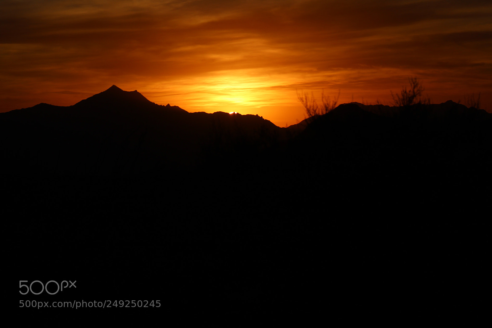 Canon EF 75-300mm f/4-5.6 sample photo. Untitled photography
