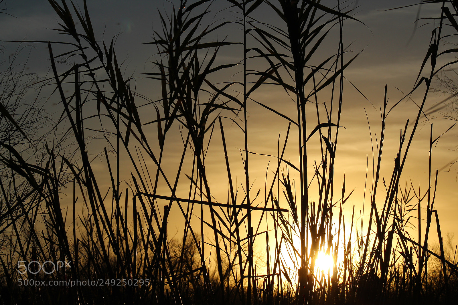 Canon EF 75-300mm f/4-5.6 sample photo. Untitled photography
