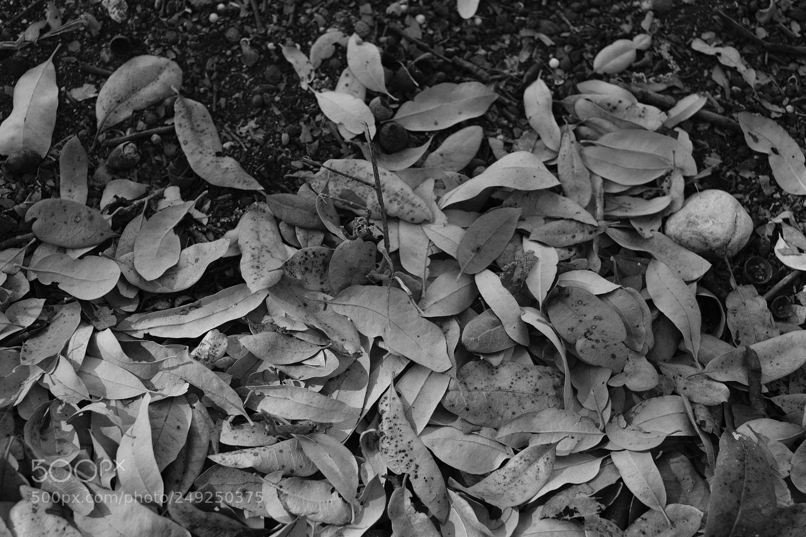 Fujifilm X-T2 sample photo. Untitled photography