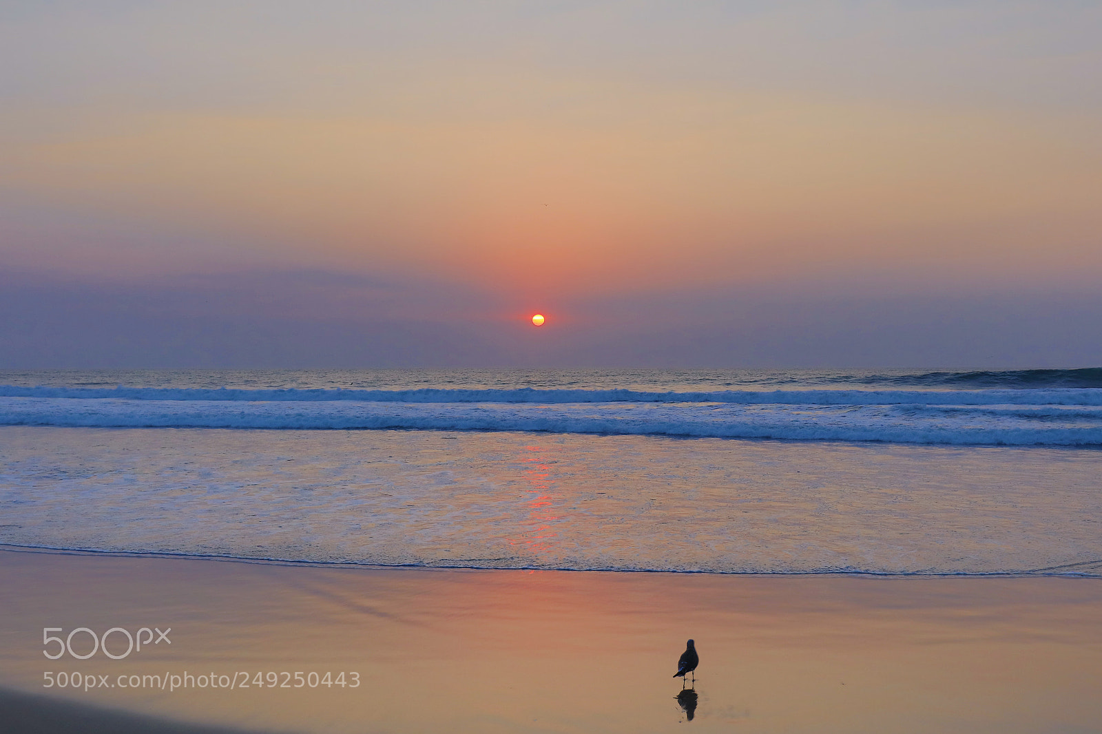 Canon EOS 5DS R sample photo. Untitled photography