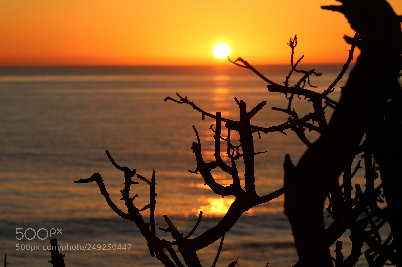 Canon EF 75-300mm f/4-5.6 sample photo. Lajolla, ca. photography