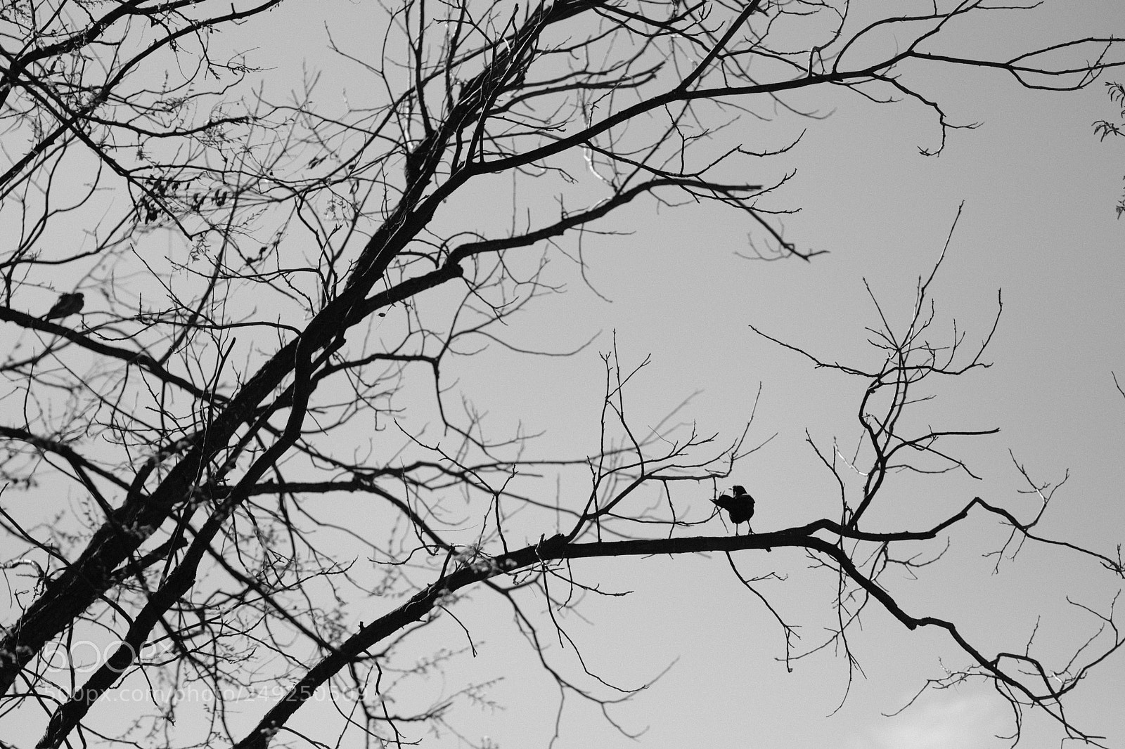 Fujifilm X-T2 sample photo. Untitled photography