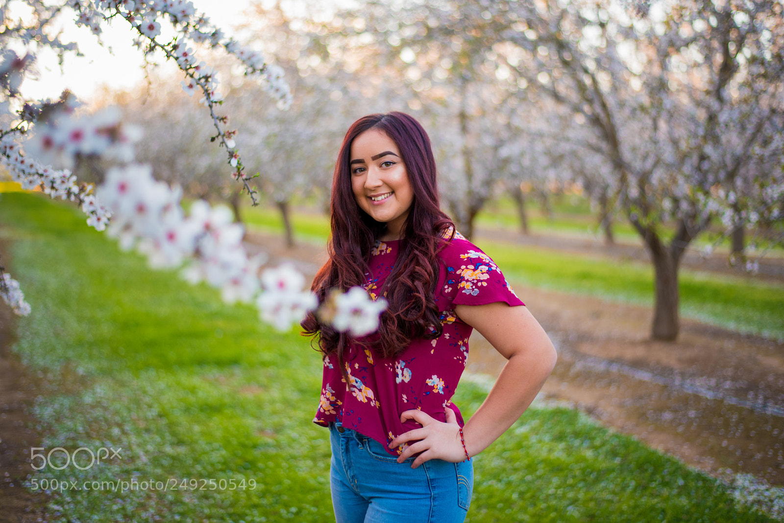 Nikon D750 sample photo. Almond blossom photography