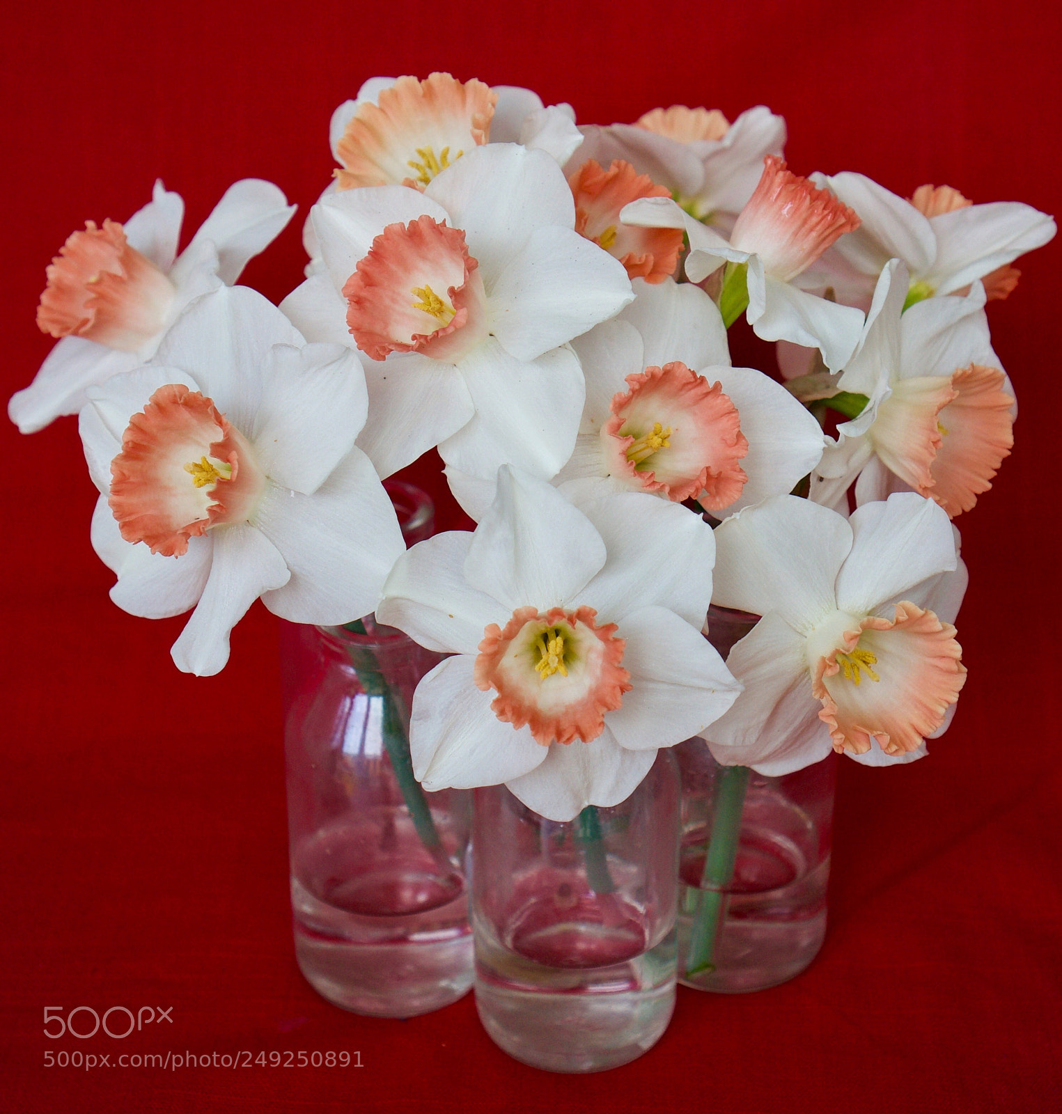 Sony Alpha NEX-6 sample photo. Daffodil bouquet photography