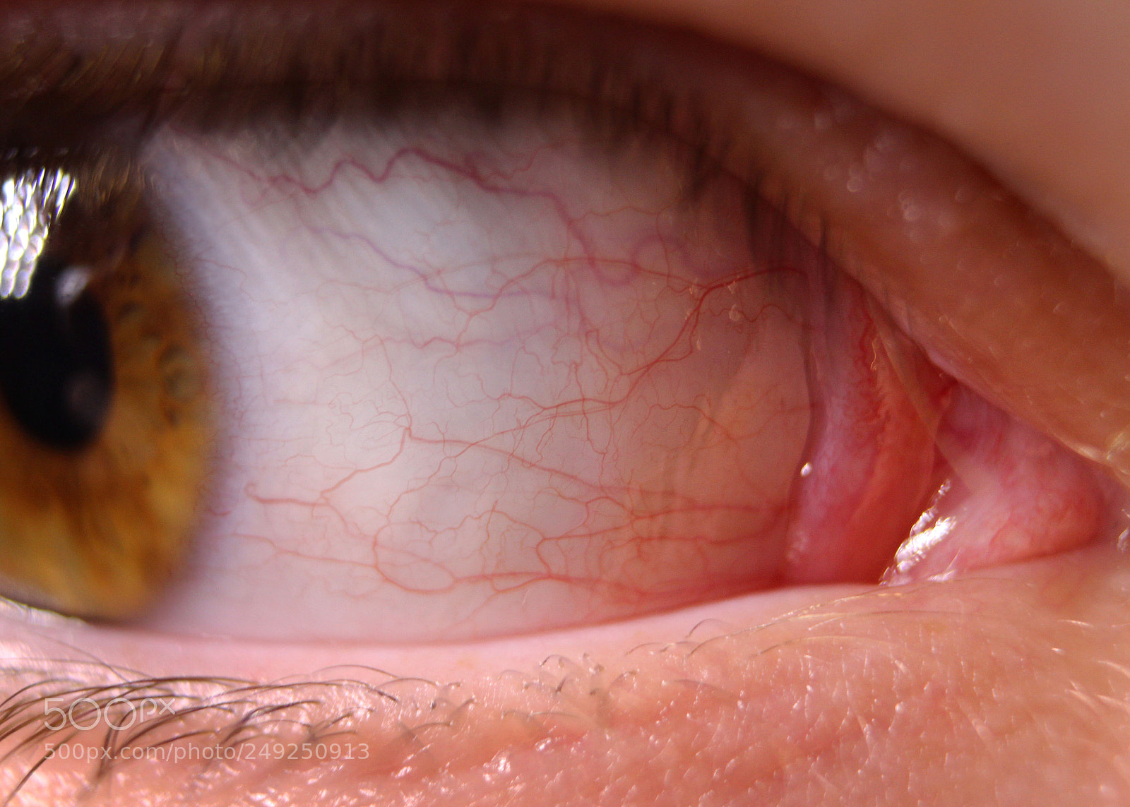 Canon EOS 650D (EOS Rebel T4i / EOS Kiss X6i) sample photo. Eye photography