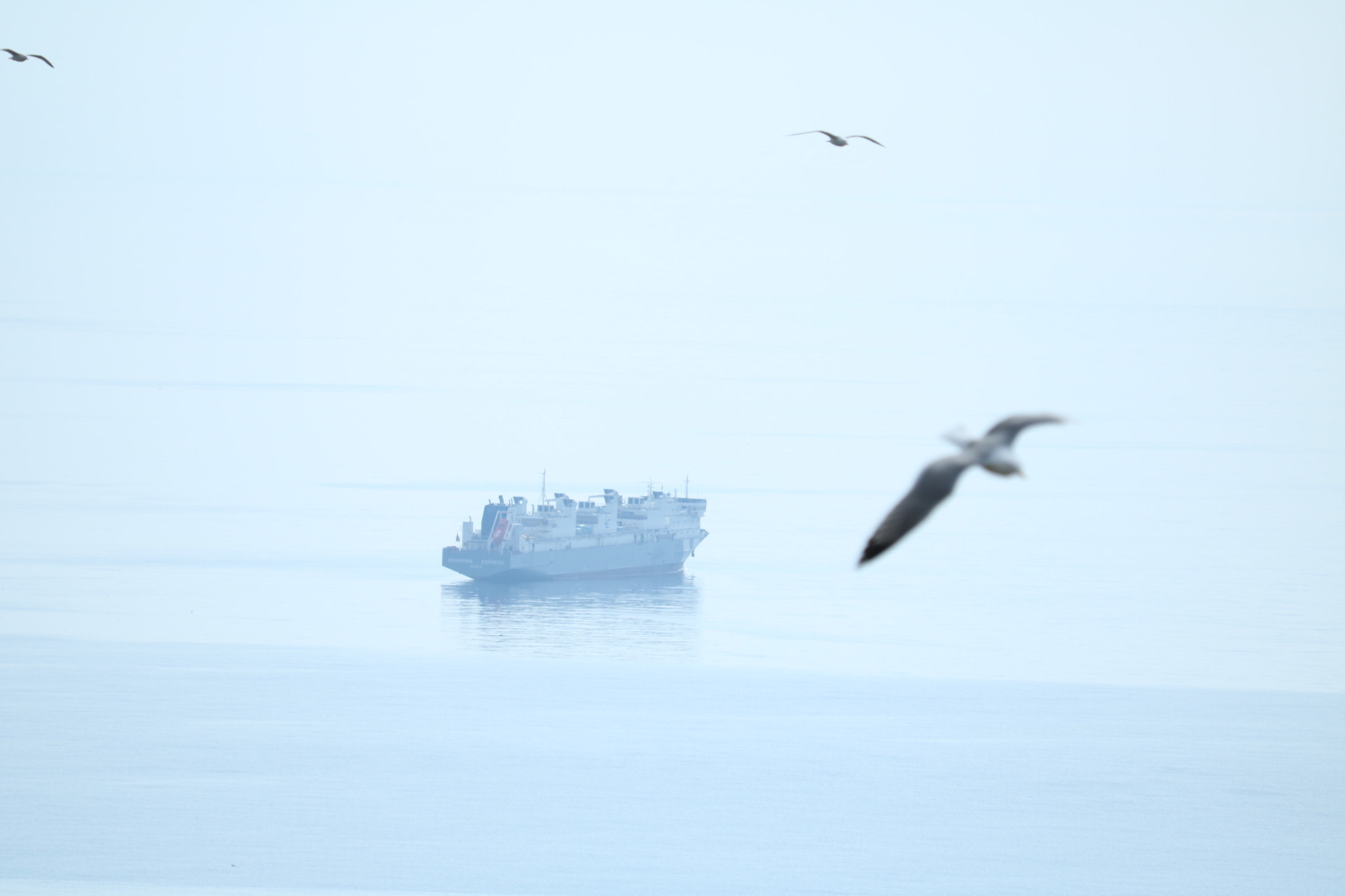 Canon EF-S 55-250mm F4-5.6 IS STM sample photo