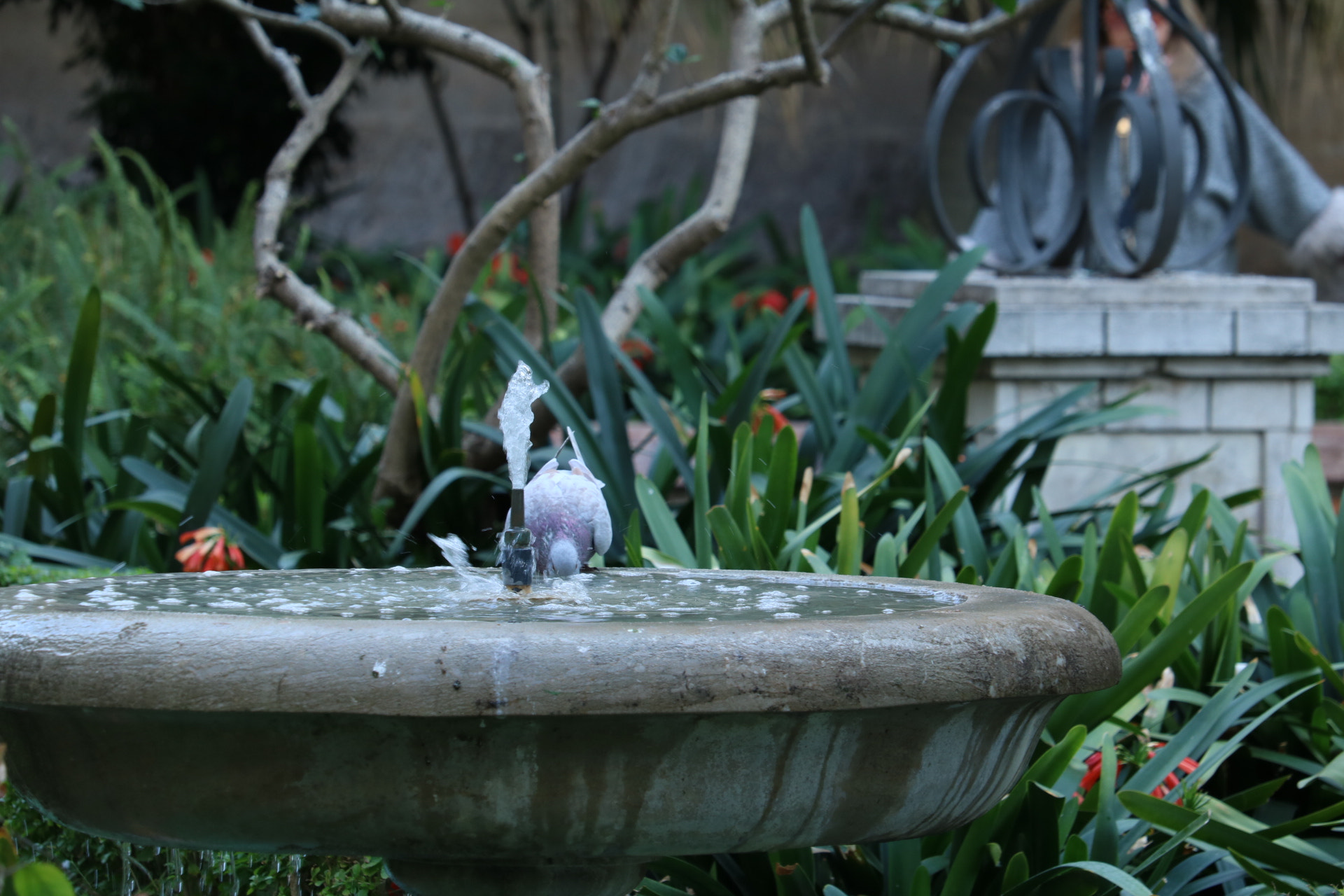Canon EF-S 55-250mm F4-5.6 IS STM sample photo