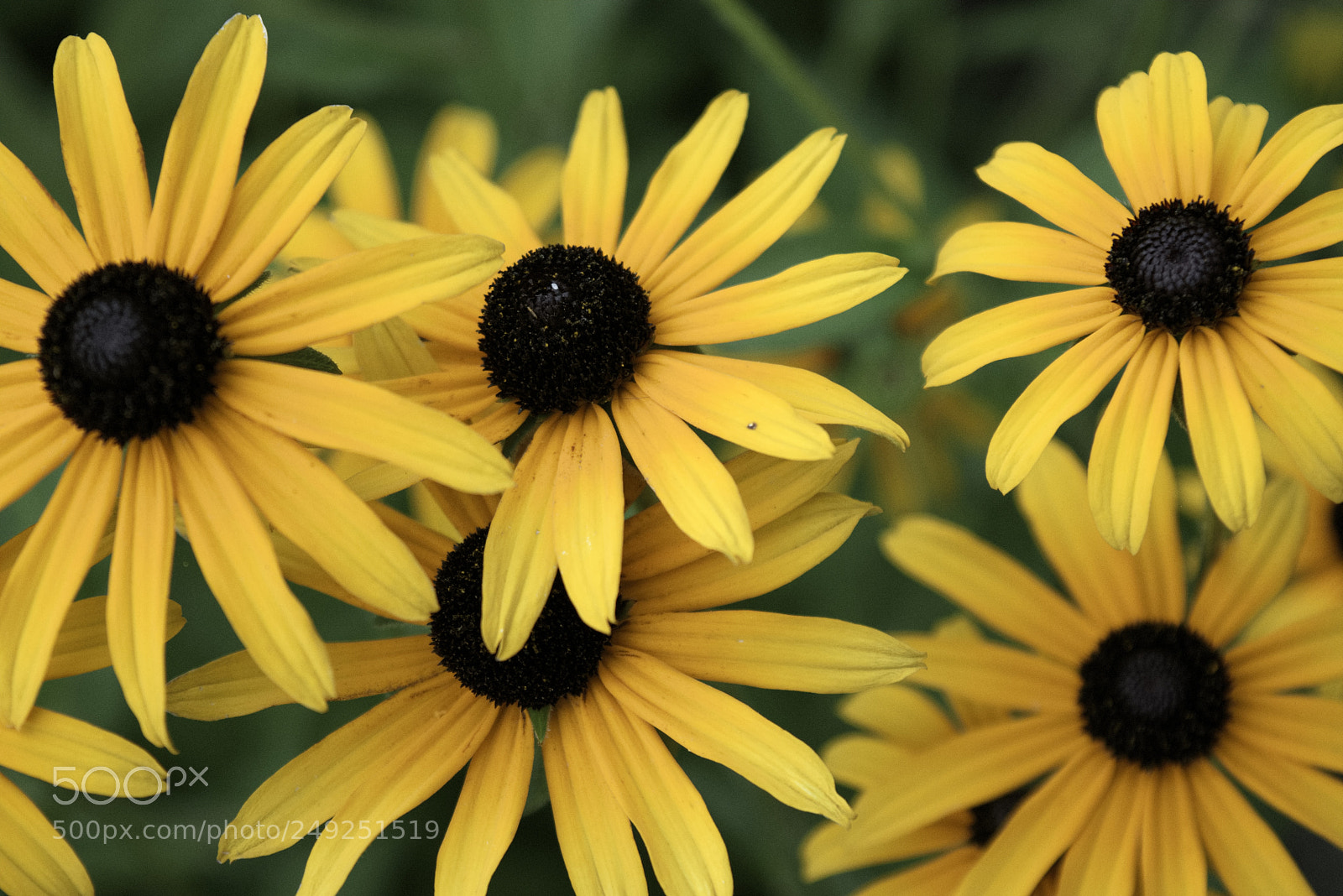Nikon D3300 sample photo. Untitled photography