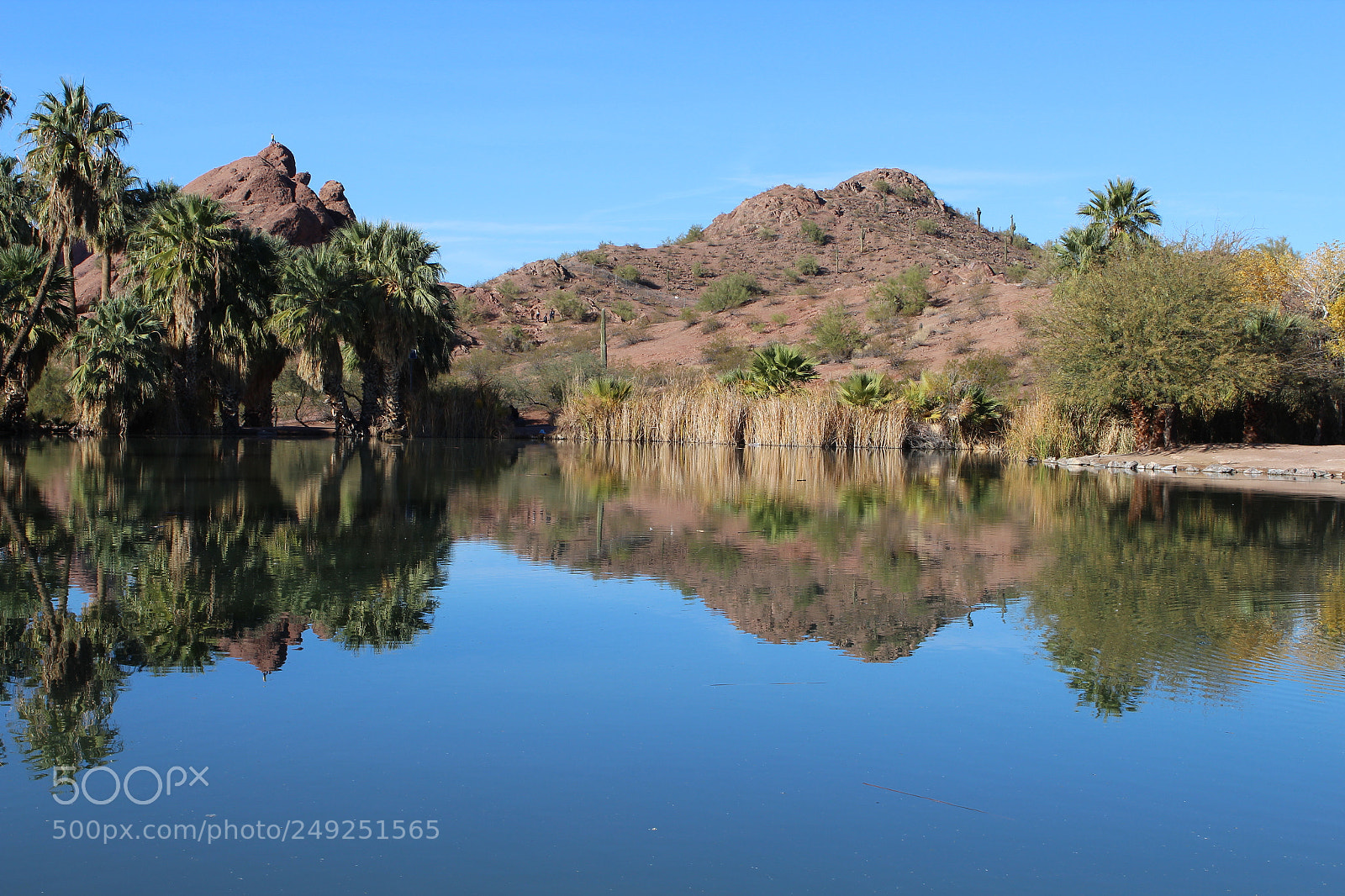 Canon EOS 1300D (EOS Rebel T6 / EOS Kiss X80) sample photo. Papago park, phoenix, az. photography
