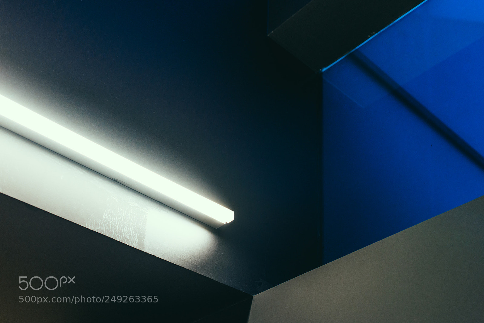 Nikon D600 sample photo. Neon photography