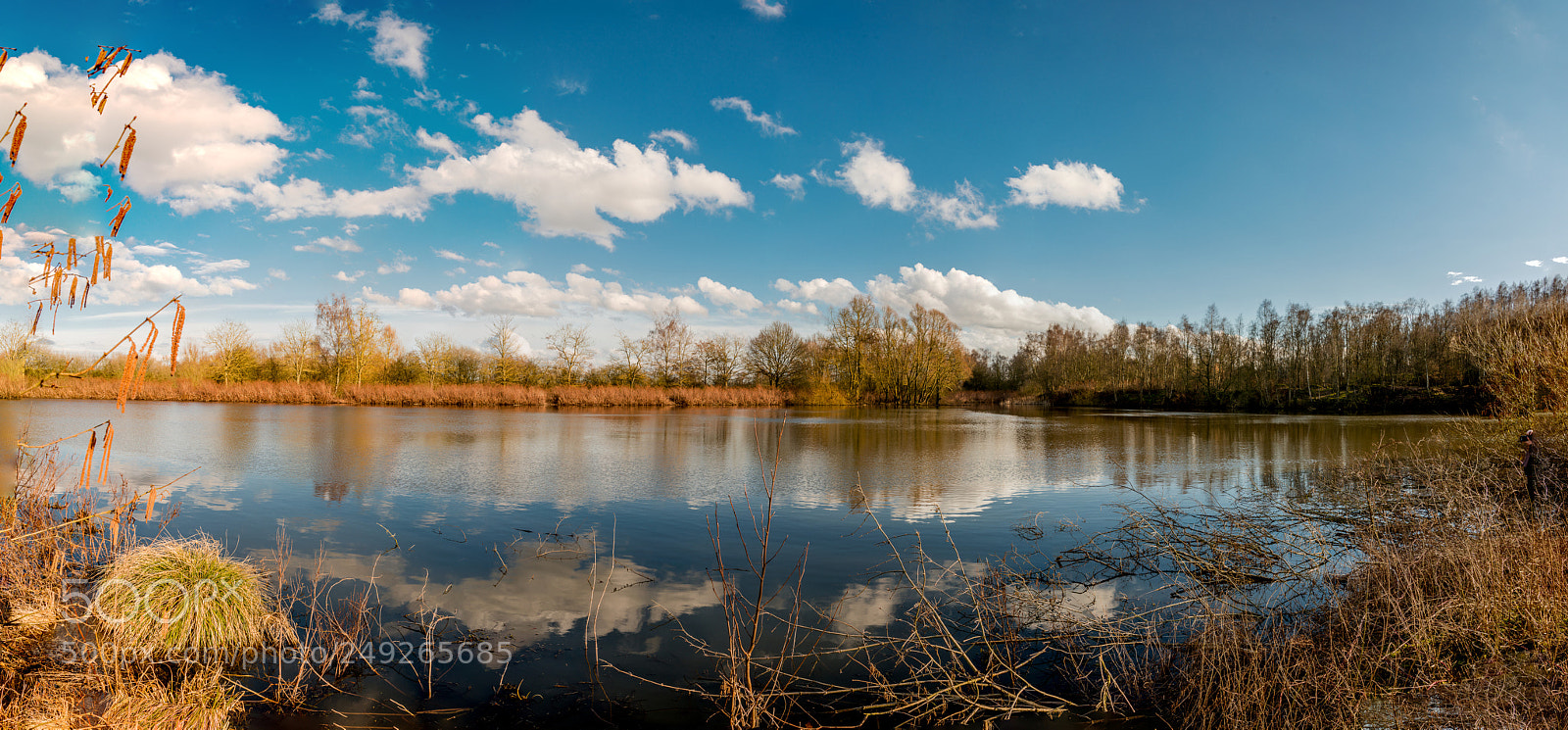 Nikon D800 sample photo. Panorama. photography