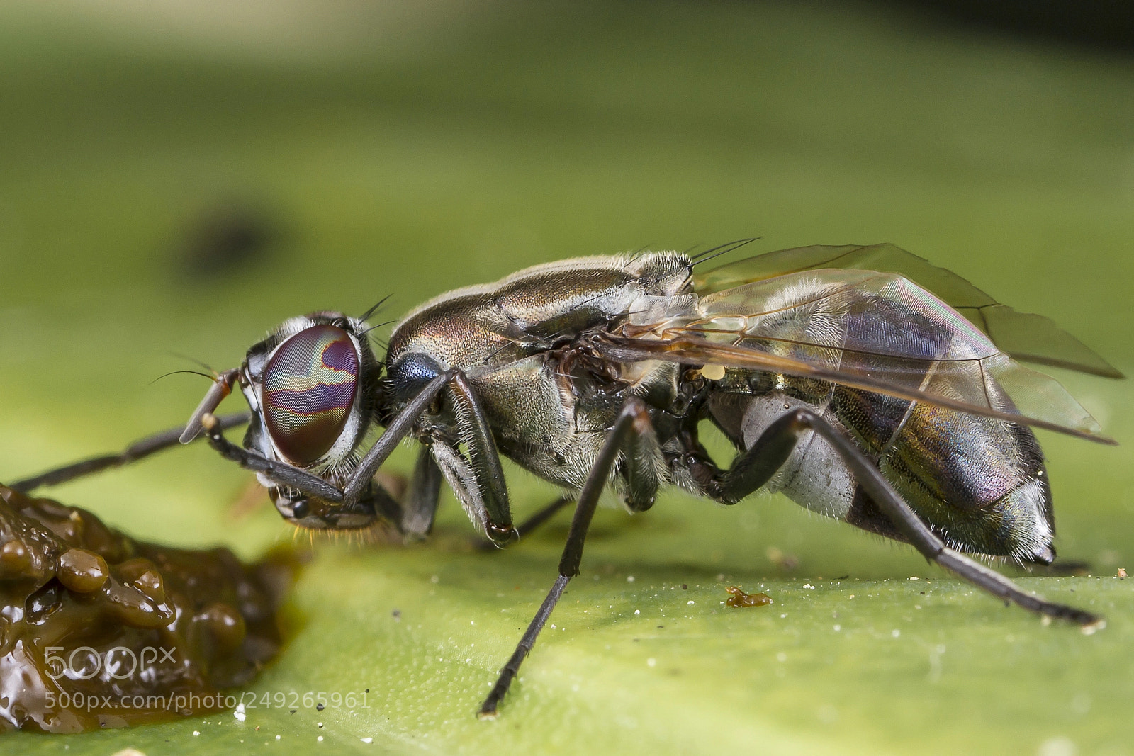 Canon EOS 7D sample photo. Lunch time photography