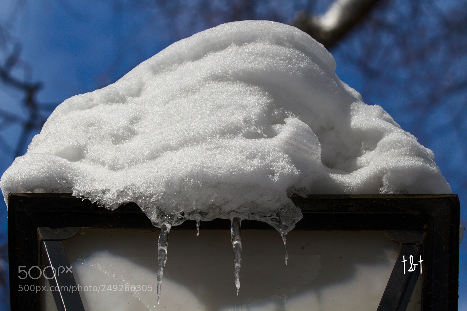 Canon EOS 7D sample photo. Untitled photography