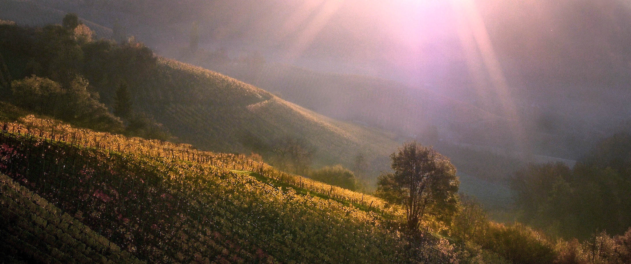 Olympus XZ-1 sample photo. Styria photography