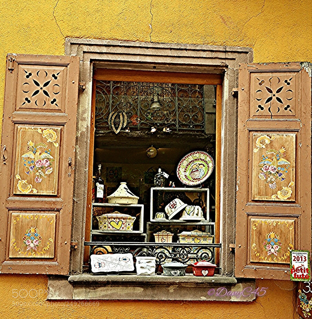 Nikon D5100 sample photo. Alsace (13) photography
